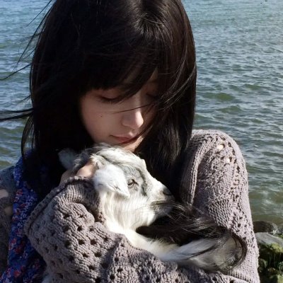 一袋锤子海报